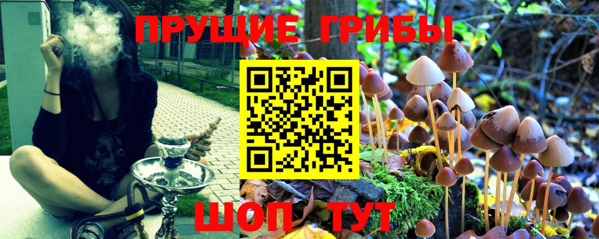 Долгопрудный  Псилоцибиновые грибы мухоморы  Вход с VPN 