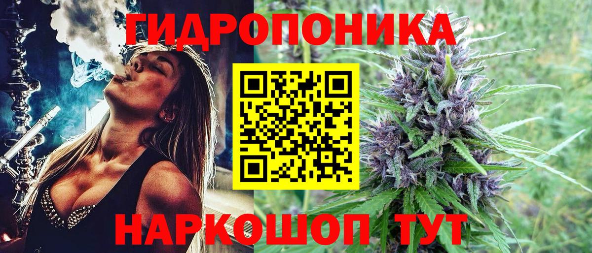 Долгопрудный  Каннабис Bruce Banner  Вход с VPN  Каннабис AK-47  Марихуана индика  МАРИХУАНА сатива 